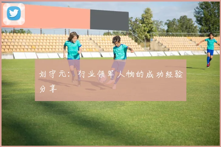刘守元：行业领军人物的成功经验分享