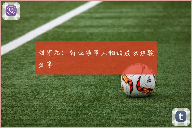 刘守元：行业领军人物的成功经验分享